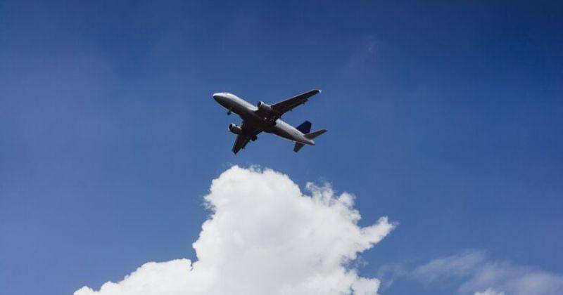 Freepik/Kireyonok_Yuliya